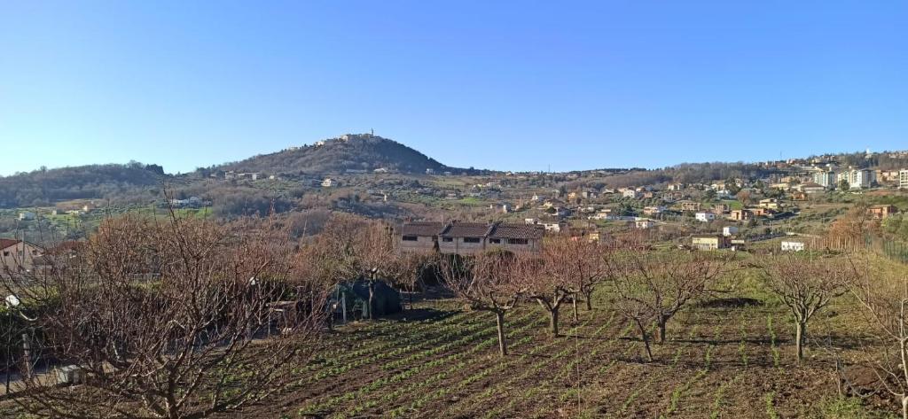 a field with trees and a hill in the background at Natura Affittacamere in Campobasso