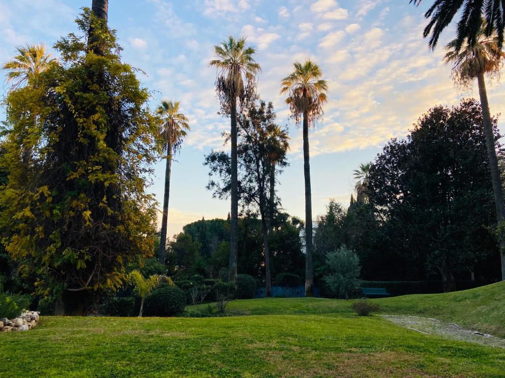 a group of palm trees in a park at Palais Belle Epoque - Property With Style in Cannes