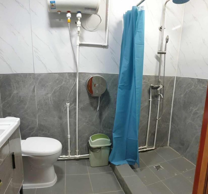 a bathroom with a shower and a toilet and a sink at Bee happy Hostel in Dalandzadgad