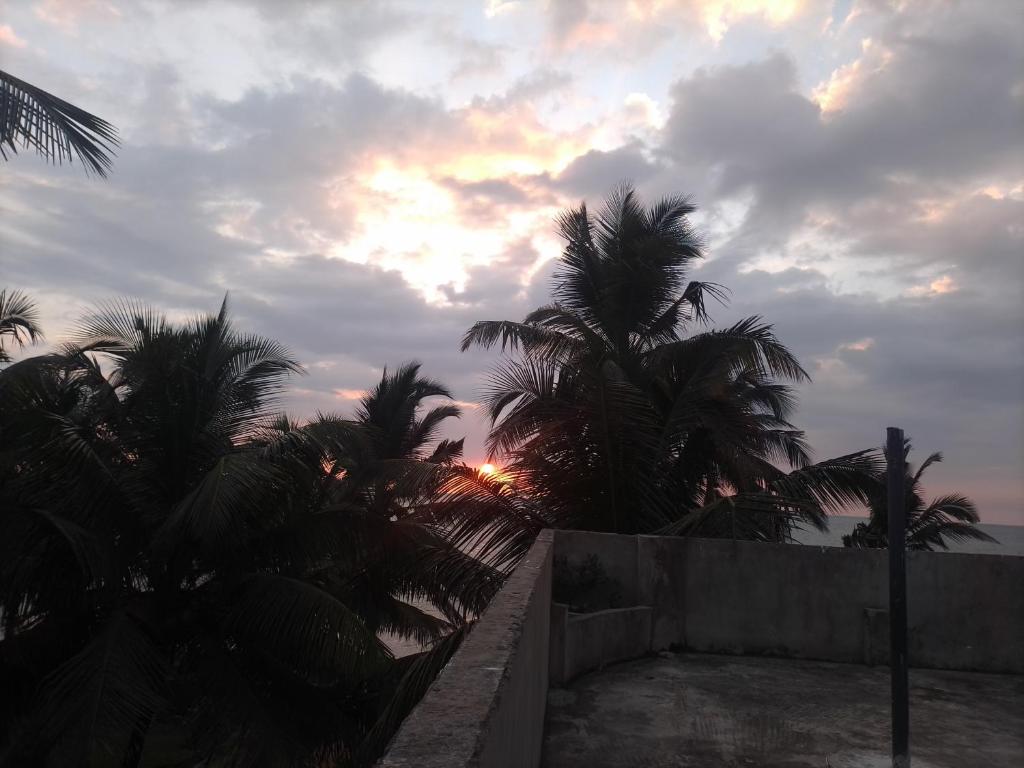 eine Gruppe von Palmen mit Sonnenuntergang im Hintergrund in der Unterkunft Our Little Secret in Kalutara