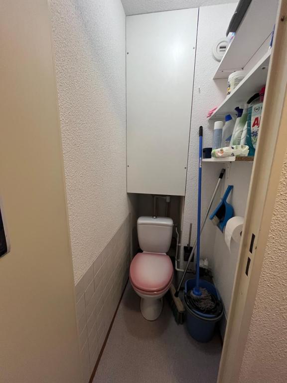 a small bathroom with a pink toilet in a stall at Aux pieds des pistes en plein soleil in Les Contamines-Montjoie
