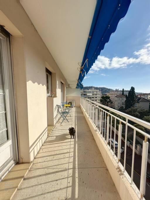 un gatto che cammina sul balcone di un edificio di AGENCIA Appartement 2 pièces lumineux 5e a Cannes