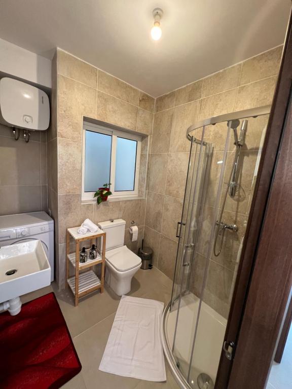 a bathroom with a shower and a toilet and a sink at Bright Penthouse with large terrace in Pieta
