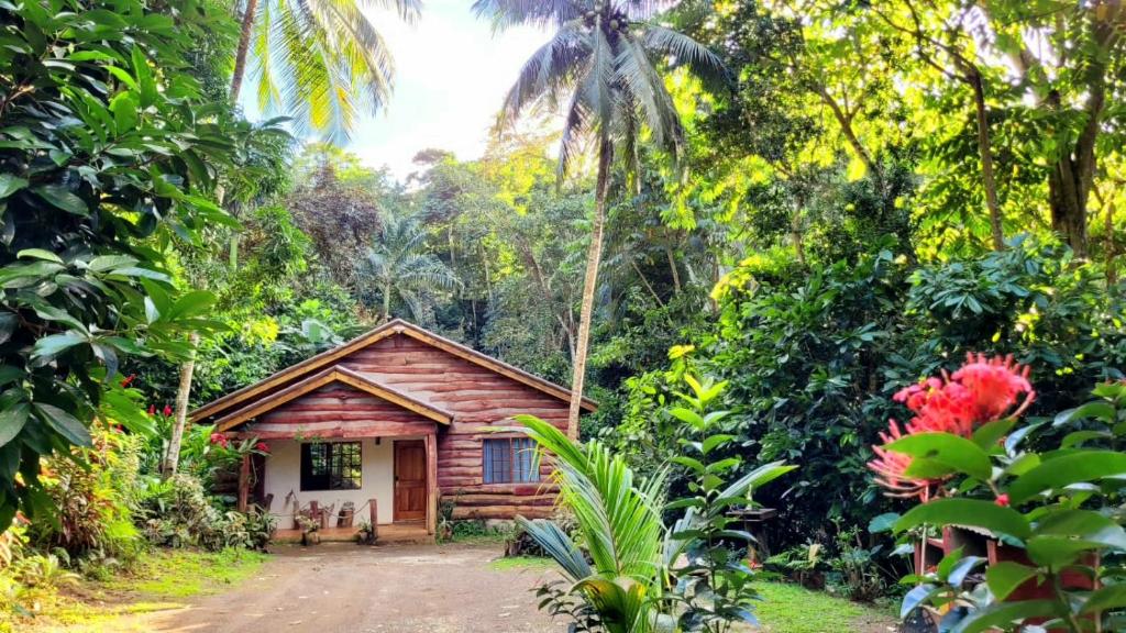 una cabaña de madera en medio de un bosque en Ecoscape Jamaica - Cottages by the river en Ocho Rios