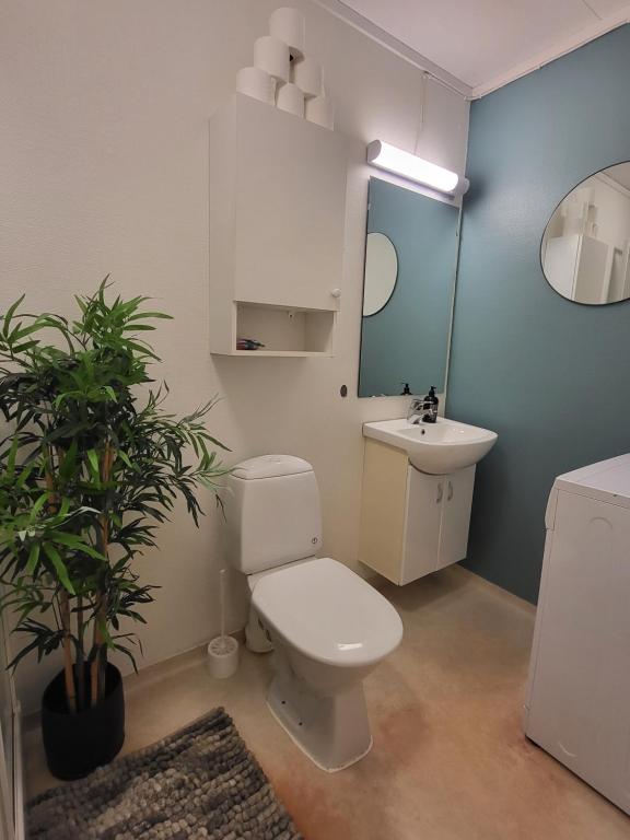 een badkamer met een wit toilet en een wastafel bij Cozy apartment close to nature, Kvaloya. in Kvaløya