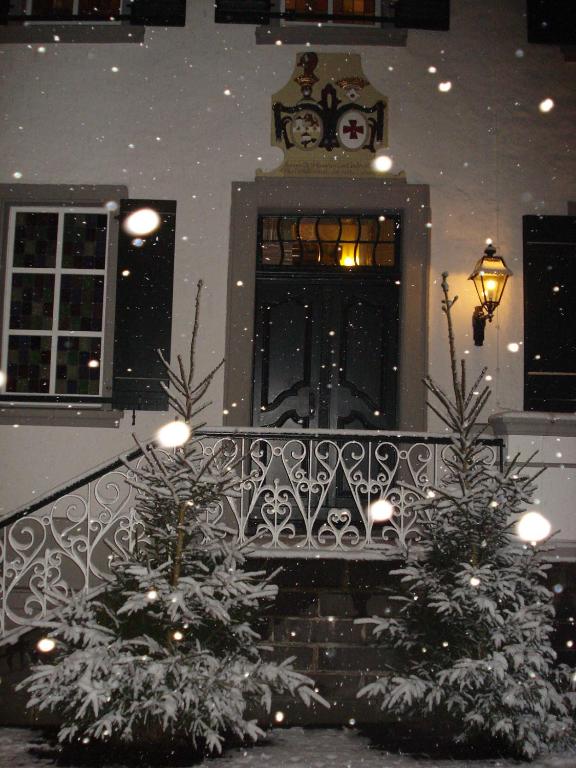 Hotel Fürstenberg v zimě