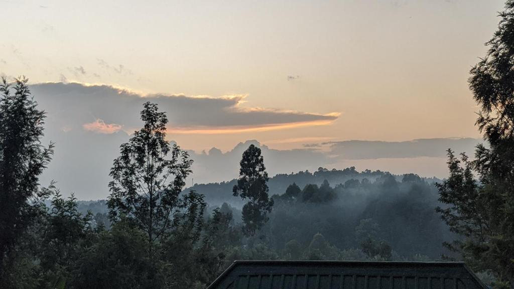 een uitzicht op een berg met bomen op de voorgrond bij Kioga home stay in Arusha