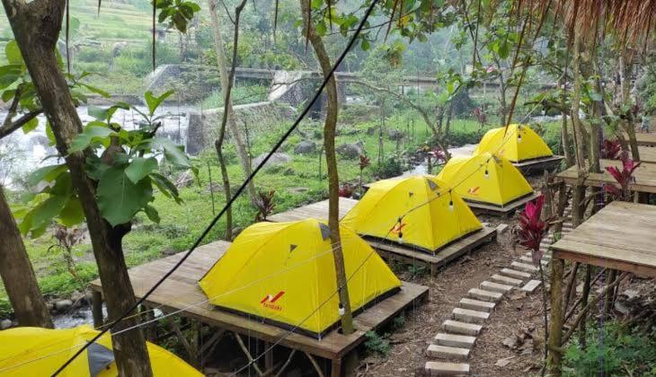 una fila di ombrelli gialli seduti sui tavoli di Nyiak Tanjuang camp area 