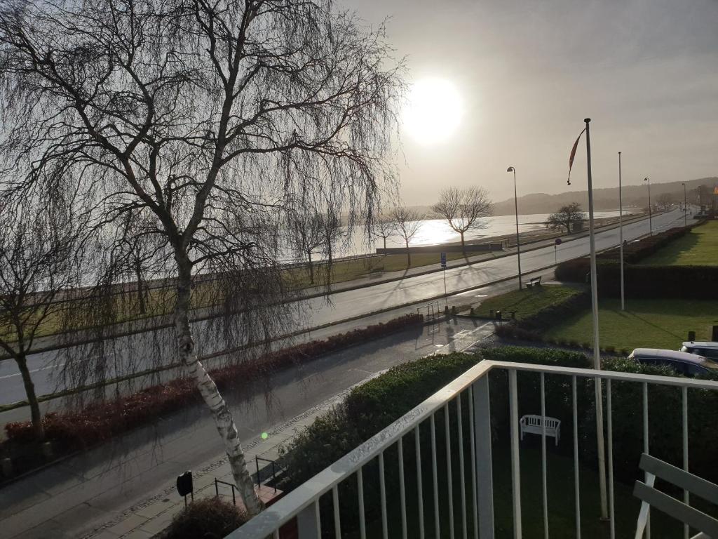 Blick auf eine überflutete Straße mit einem Baum und einem Fluss in der Unterkunft SKAU Beach View in Aabenraa