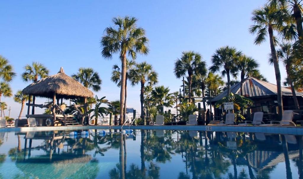 a swimming pool at a resort with palm trees at The Conch House Marina Resort in St. Augustine