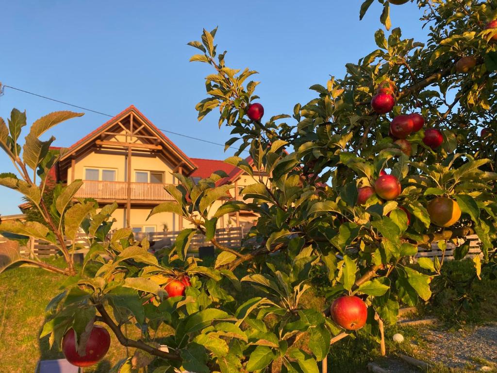 an apple tree in front of a house at Fugger Alm in Weichselbaum