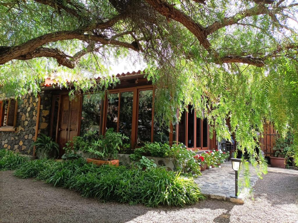 Ein Gebäude mit einem Haufen Pflanzen davor. in der Unterkunft Finca Alda in Los Llanos de Aridane