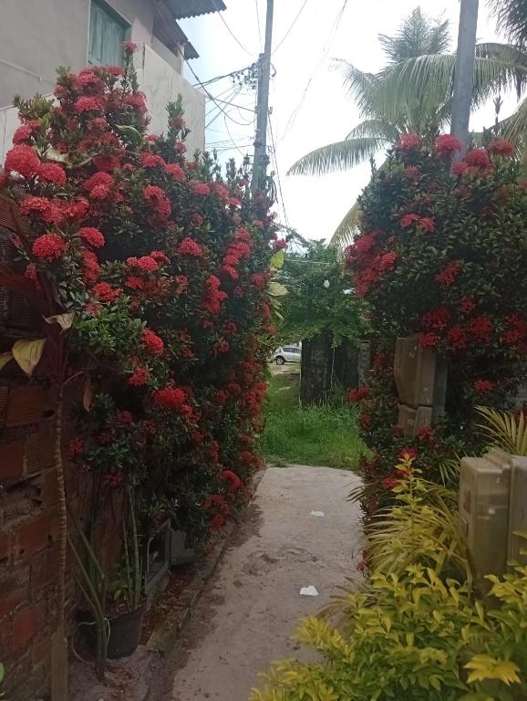 Casa da Ilha
