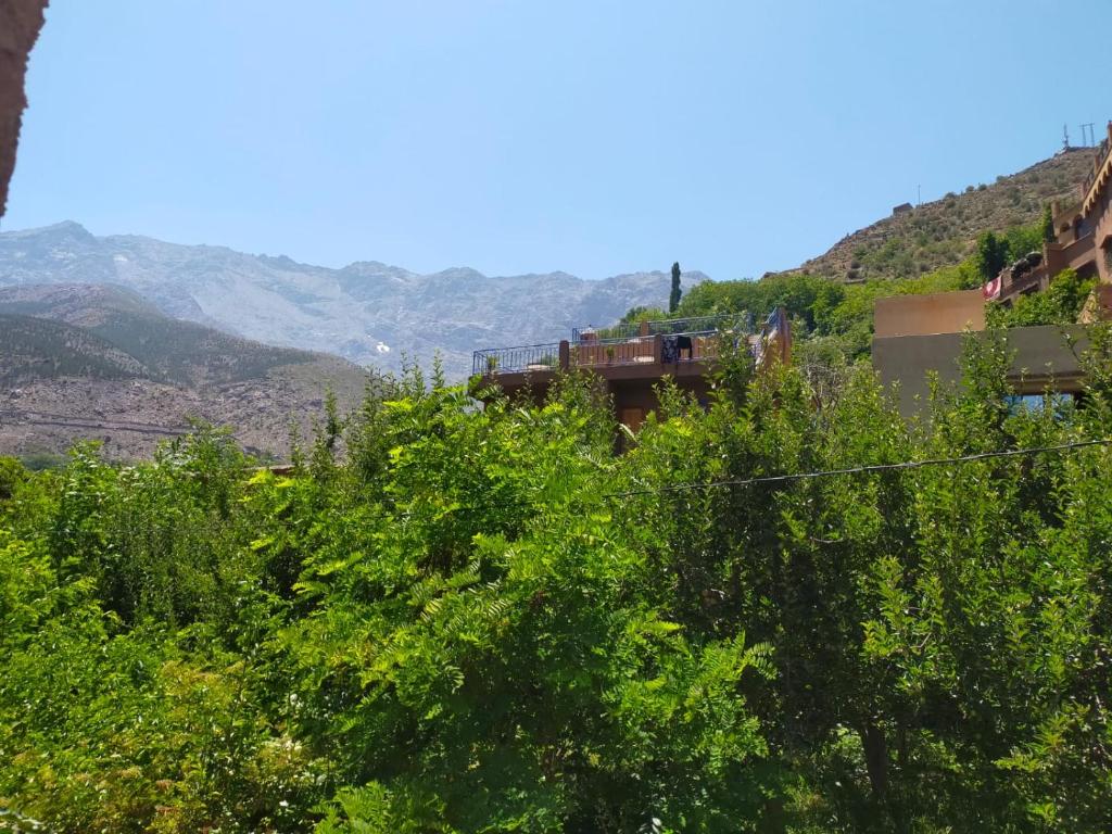 een trein komt van een heuvel af met bomen bij Atlas Haven in Imlil