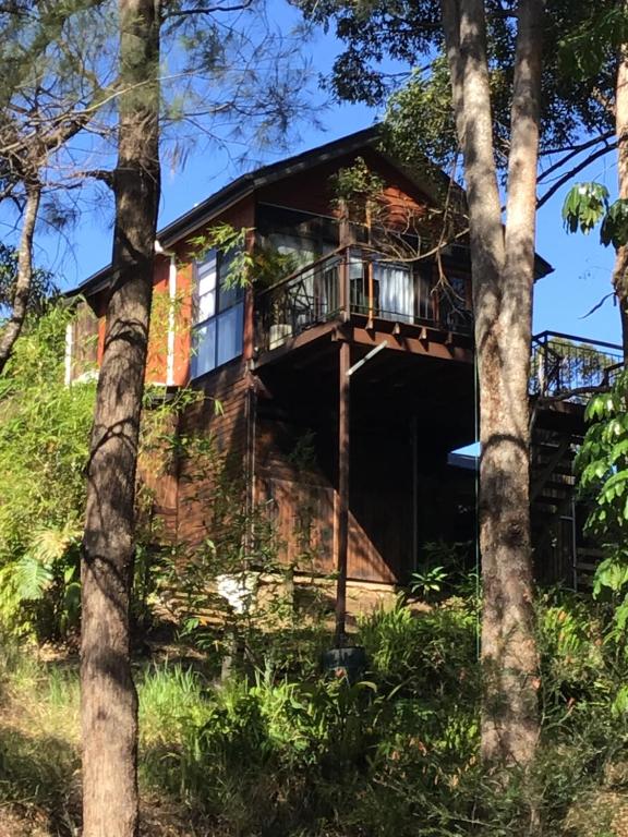 a house with a balcony in the woods at Beautifully Elevated Treehouse Apartment in Buderim