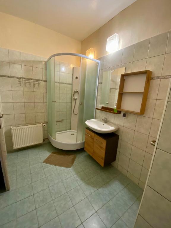 Łazienka w obiekcie Penzion Krásný Dvůr