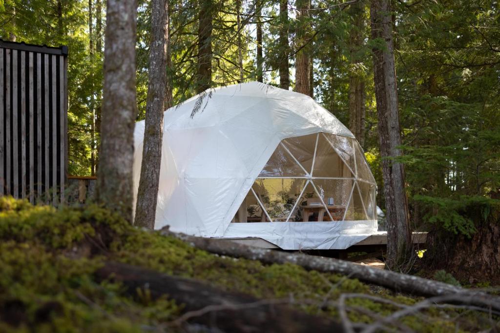 a tent in the middle of a forest at Stay Wilder Sunshine Coast in Sechelt