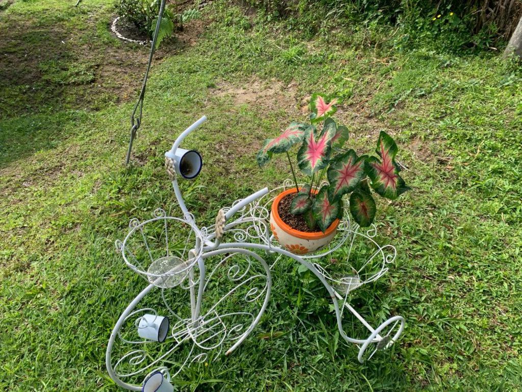 Jardí fora de Cabaña en Boquía