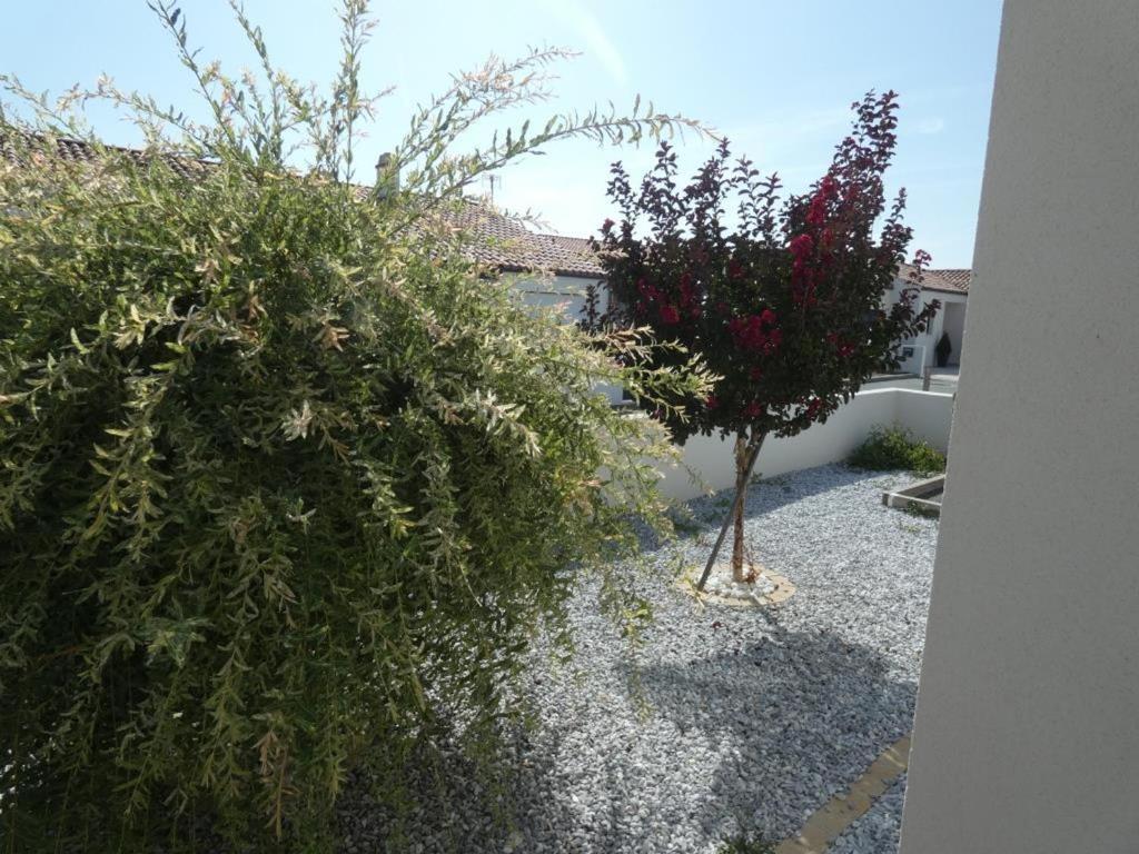 Vonkajšia záhrada v ubytovaní Maison 85m² à Notre-Dame-de-Monts, 7 pers, proche plage, 3 chambres, terrasse, activités nautiques - FR-1-540-150