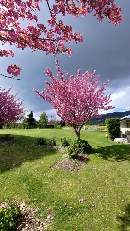 Lake Dunstan Motel - Resim 22