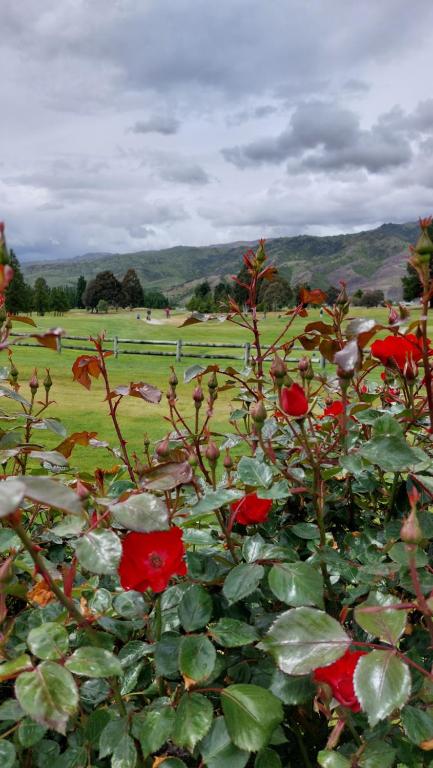 Lake Dunstan Motel - Resim 12