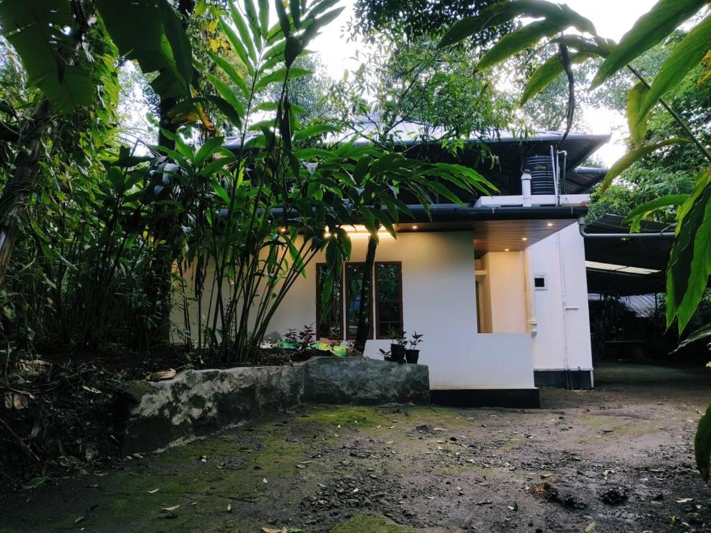 ein kleines weißes Haus mit vielen Bäumen in der Unterkunft Suryas farm stay in Devikolam