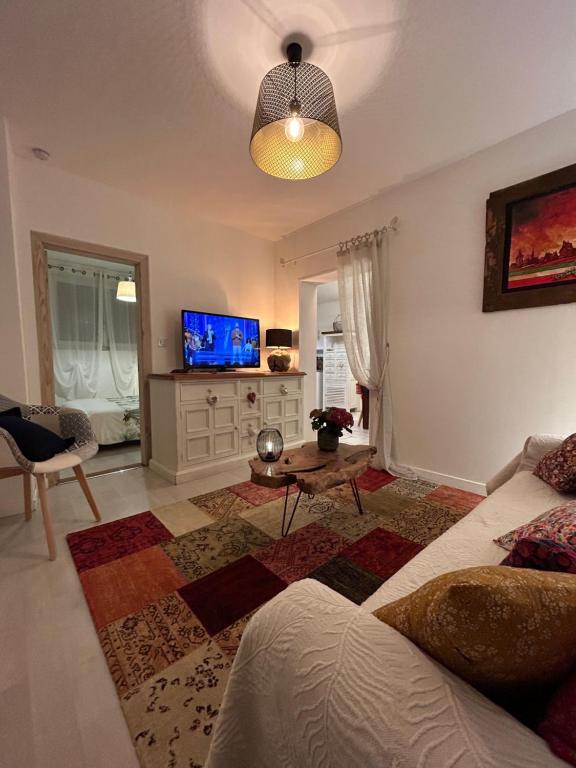 Una sala de estar con un sofá y un televisor. en Gites des capucins centre ville Sélestat, en Sélestat