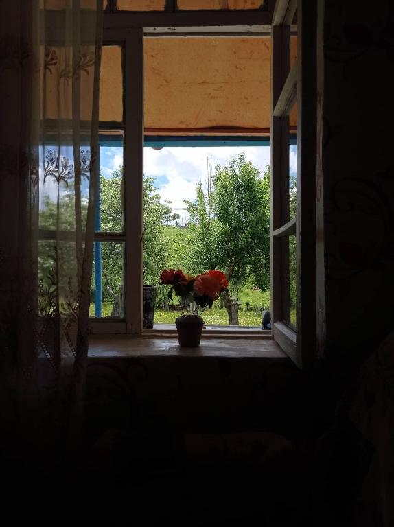 Giardino di Iamze's Guest House