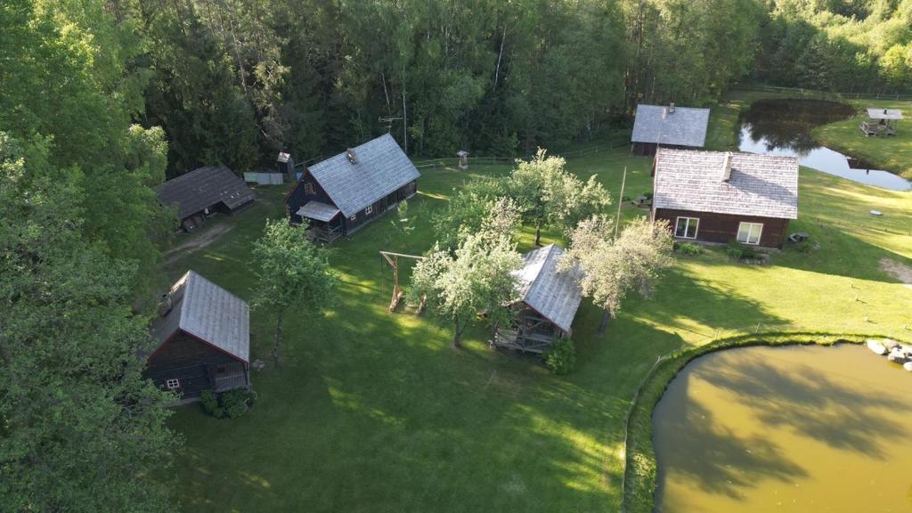 uma vista aérea de um grupo de chalés num campo em Labanoro pasaka - Elenutės namai em Berniūnai