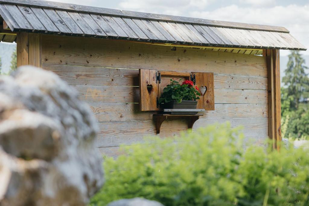 Zahrada ubytování Alp Glamping Village