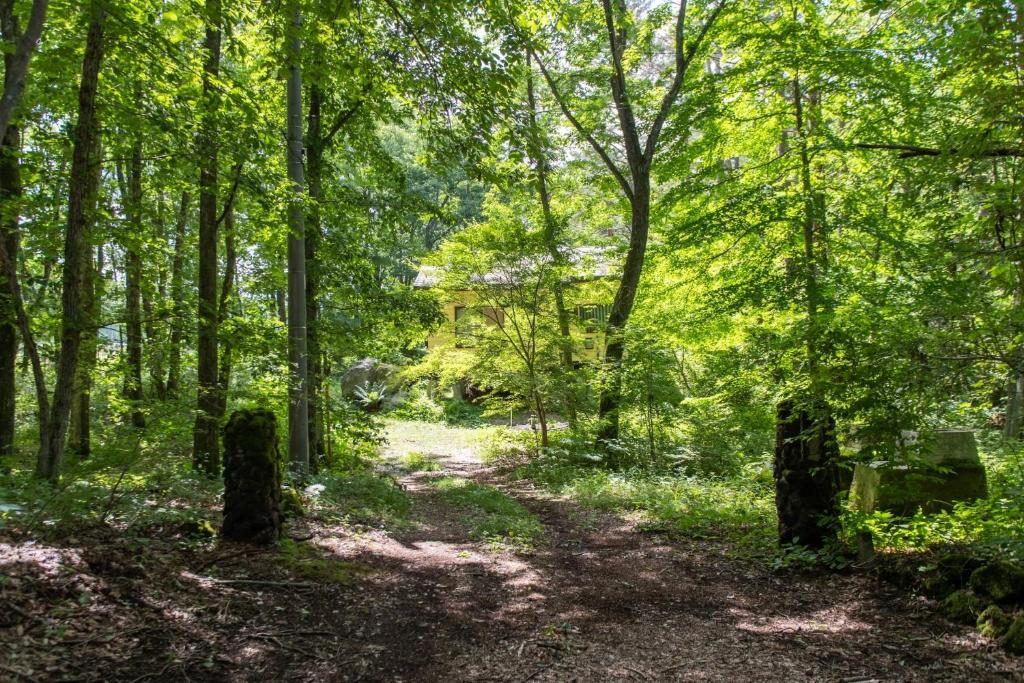 einen Weg im Wald mit Bäumen und einem Haus in der Unterkunft Mori no Komei campsite - Vacation STAY 04454v in Tsumagoi