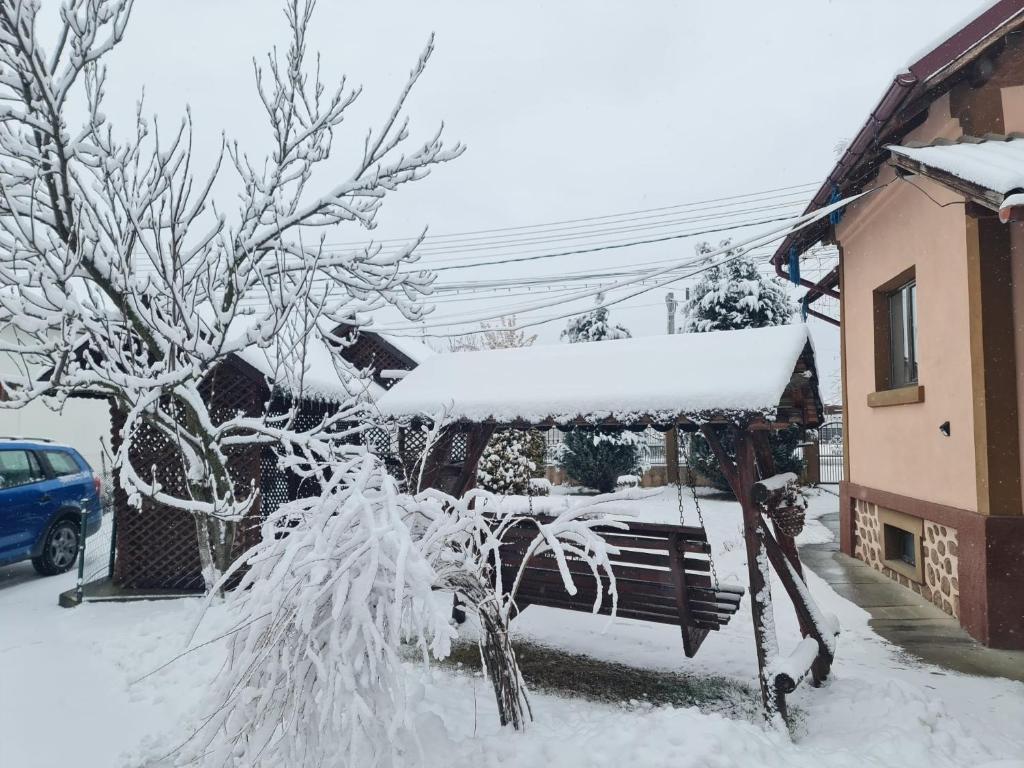 Casa Faurului v zimě