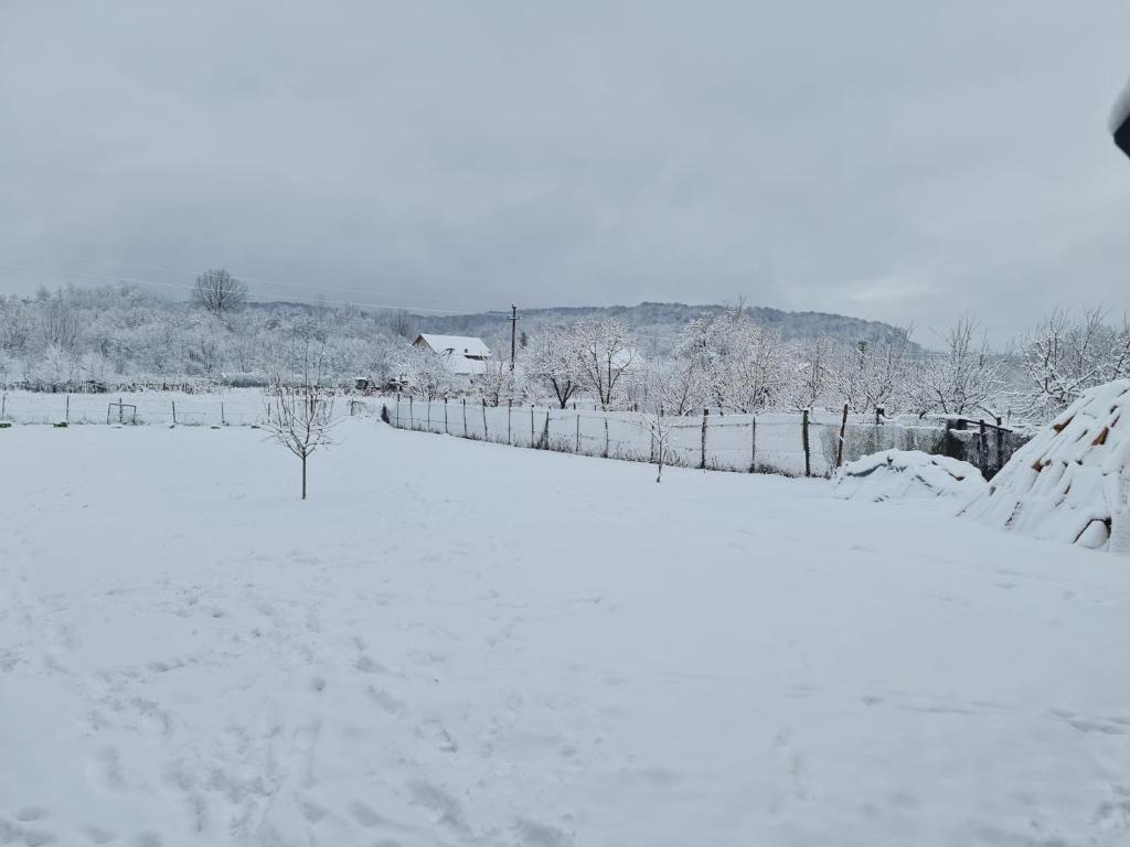 Casa Faurului v zimě
