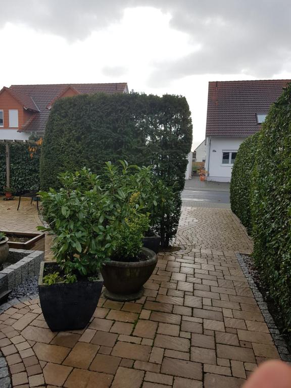 a row of plants in pots on a brick sidewalk at schöne Wohnung in Bad Nauheim, nahe Frankfurt in Bad Nauheim