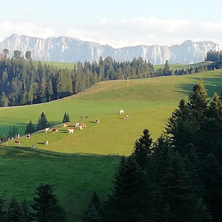 Příroda nedaleko apartmánu
