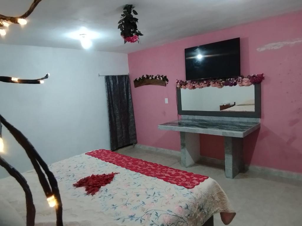 波薩里卡的住宿－Luz de Luna estancia romántica，配有电视、床和桌子的房间