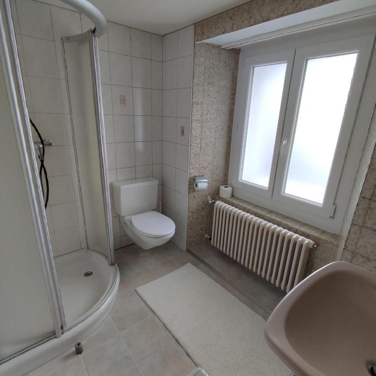 Koupelna v ubytování Haus Albula