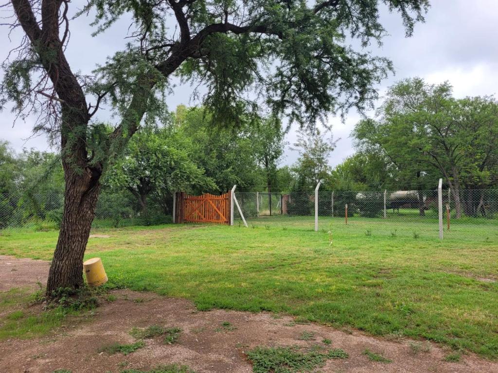 a tree in a field next to a soccer field at Mirador Quebrada Verde in El Chorrillo