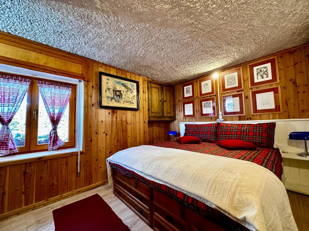 ein Schlafzimmer mit einem Bett in einem Zimmer mit Holzwänden in der Unterkunft Chalet Bormino 6 in Bormio