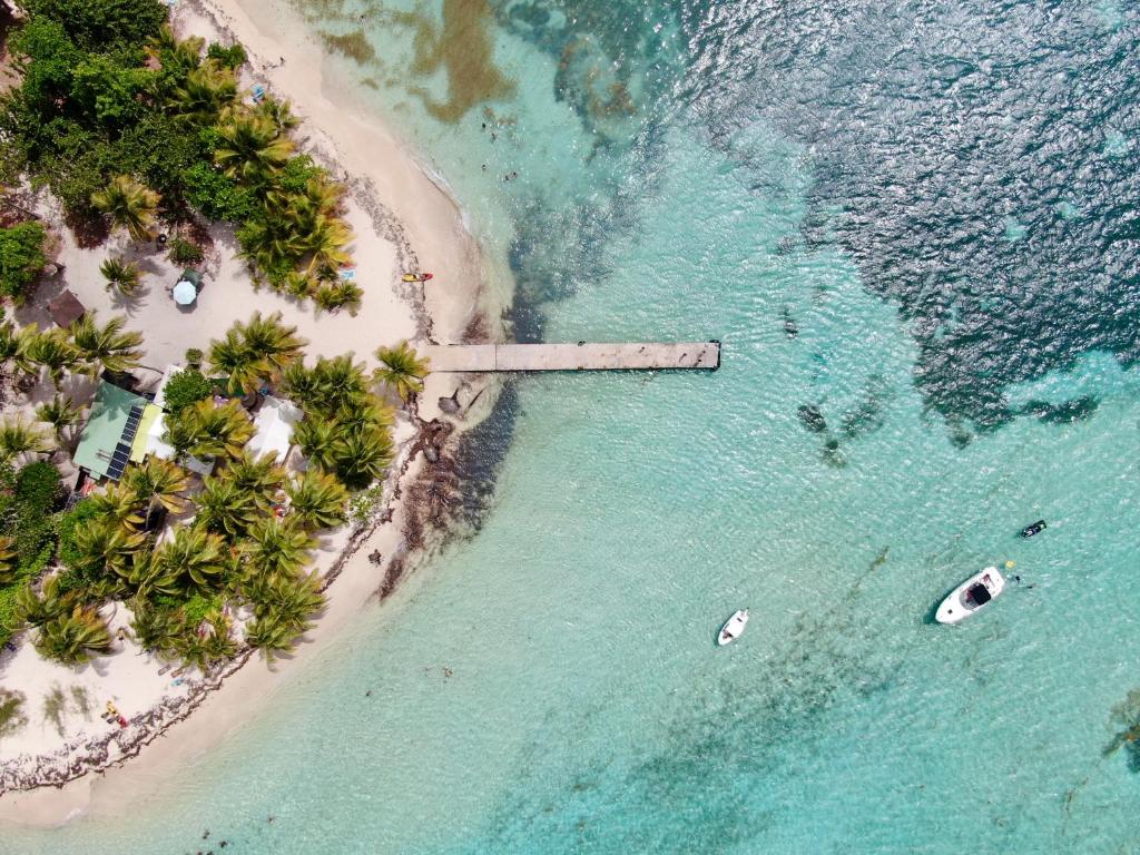 una vista aérea de una playa con palmeras en Emeraude Bay, Magnifique T3 Vue Mer proche de la plage en Le Gosier