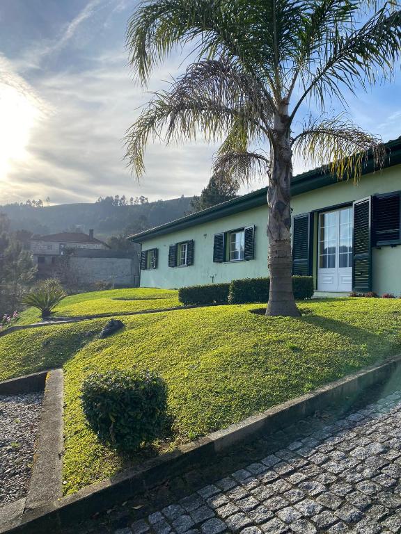 una palmera delante de una casa en Casa Cataleia VILLA INN, en Ponte de Lima