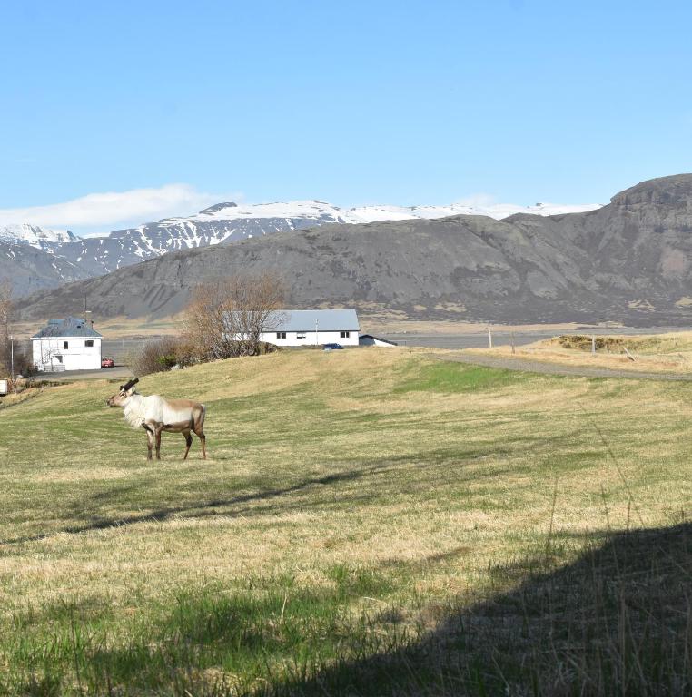 Paesaggio naturale nelle vicinanze del bed & breakfast