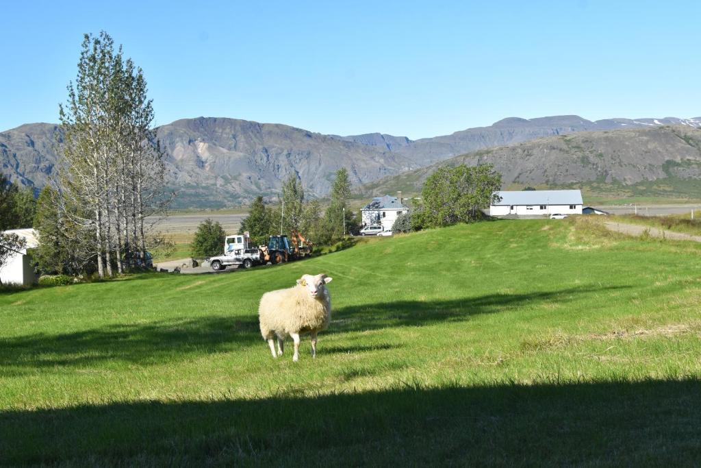 Paesaggio naturale nelle vicinanze del bed & breakfast