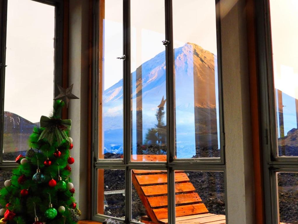 un árbol de Navidad frente a una ventana con una montaña en Casa Adriano & Filomena Montrond, en Portela