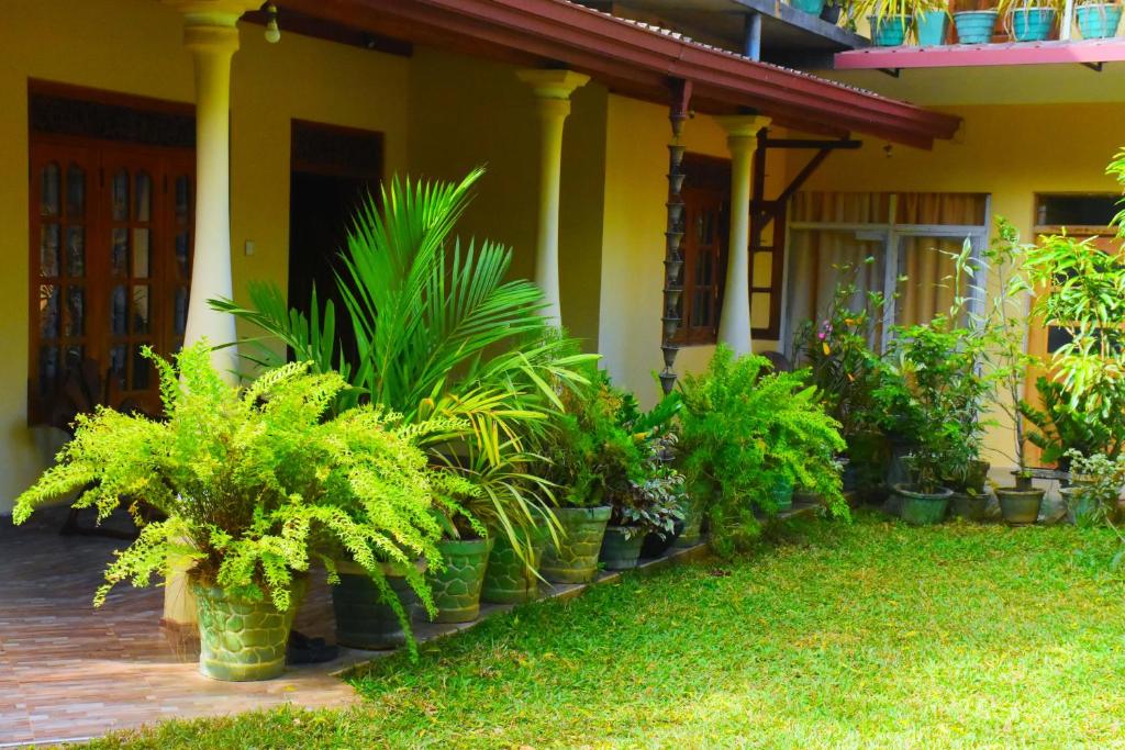 a row of potted plants in front of a house at Lodge In The Valley Udawalawa in Udawalawe