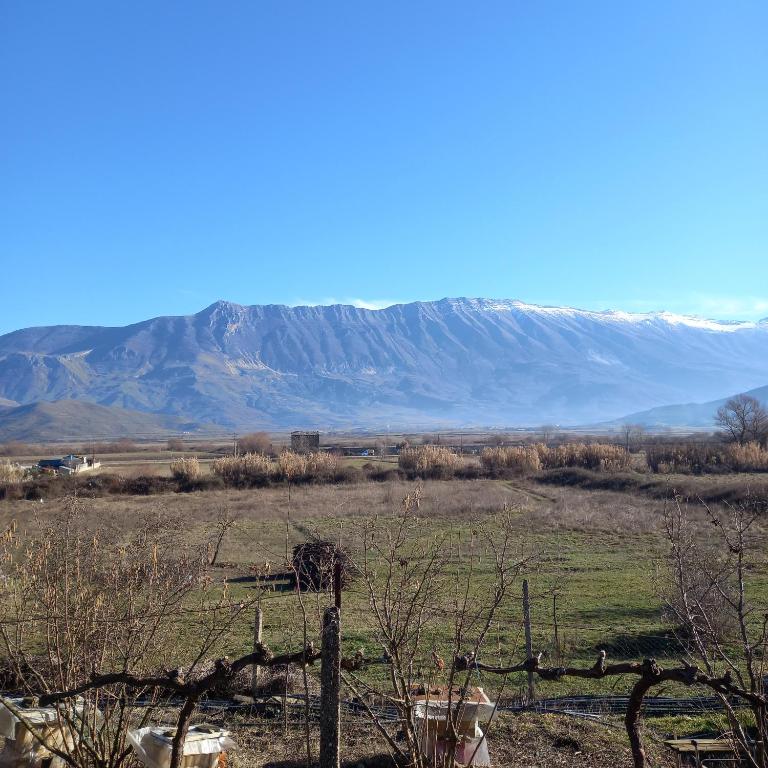Gjirokastra Adventures Camping - Image 3