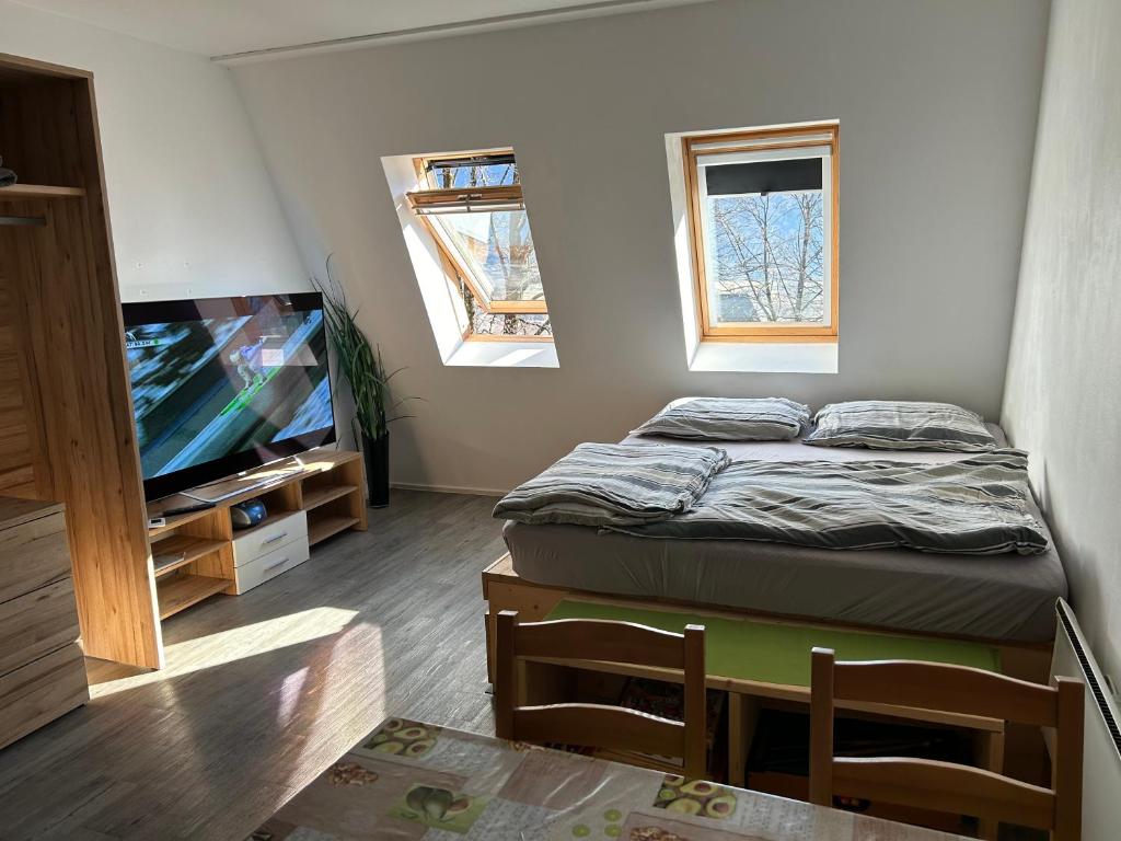Camera piccola con letto e TV a schermo piatto. di Apartment Aly a Bovec