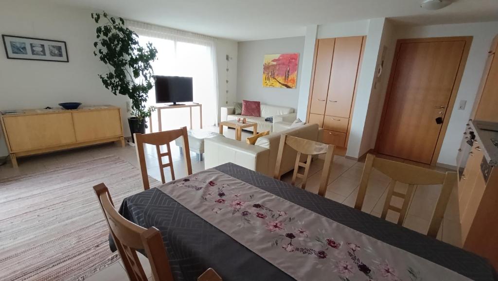 TV a/nebo společenská místnost v ubytování Gästehaus Lutz
