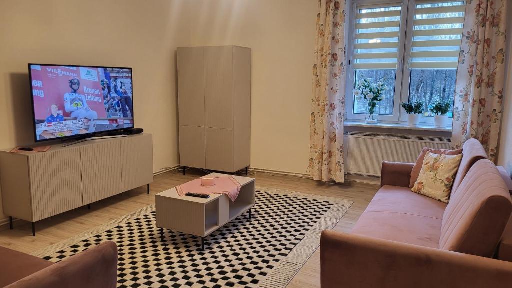 Il comprend un salon doté d'un canapé et d'une télévision à écran plat. dans l'établissement Apartament Twoja Chwila II, à Stronie Śląskie