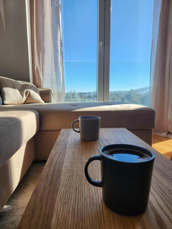 Setusvæði á PoinT